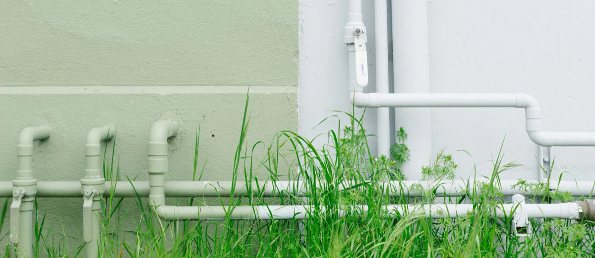 Maximizing CI/CD Performance with Nx Workspace, Jest or Vitest and Jenkins